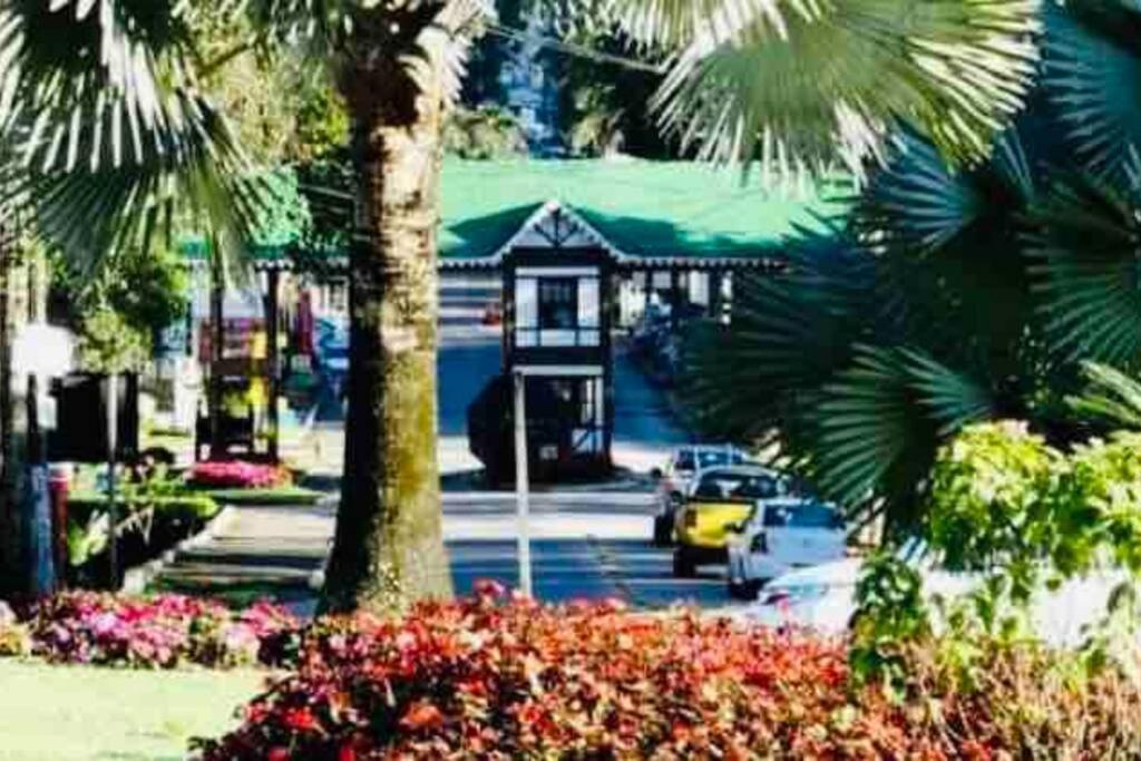 Casa Centro Com Estacionamento-500m Da Rua Do Lazer, Ideal P Casais Ou Ate 4 Pessoas *